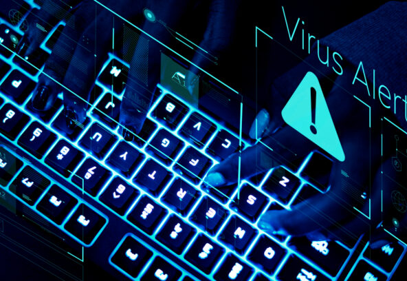 Worm in Cyber Security: Definition, Examples, and Prevention